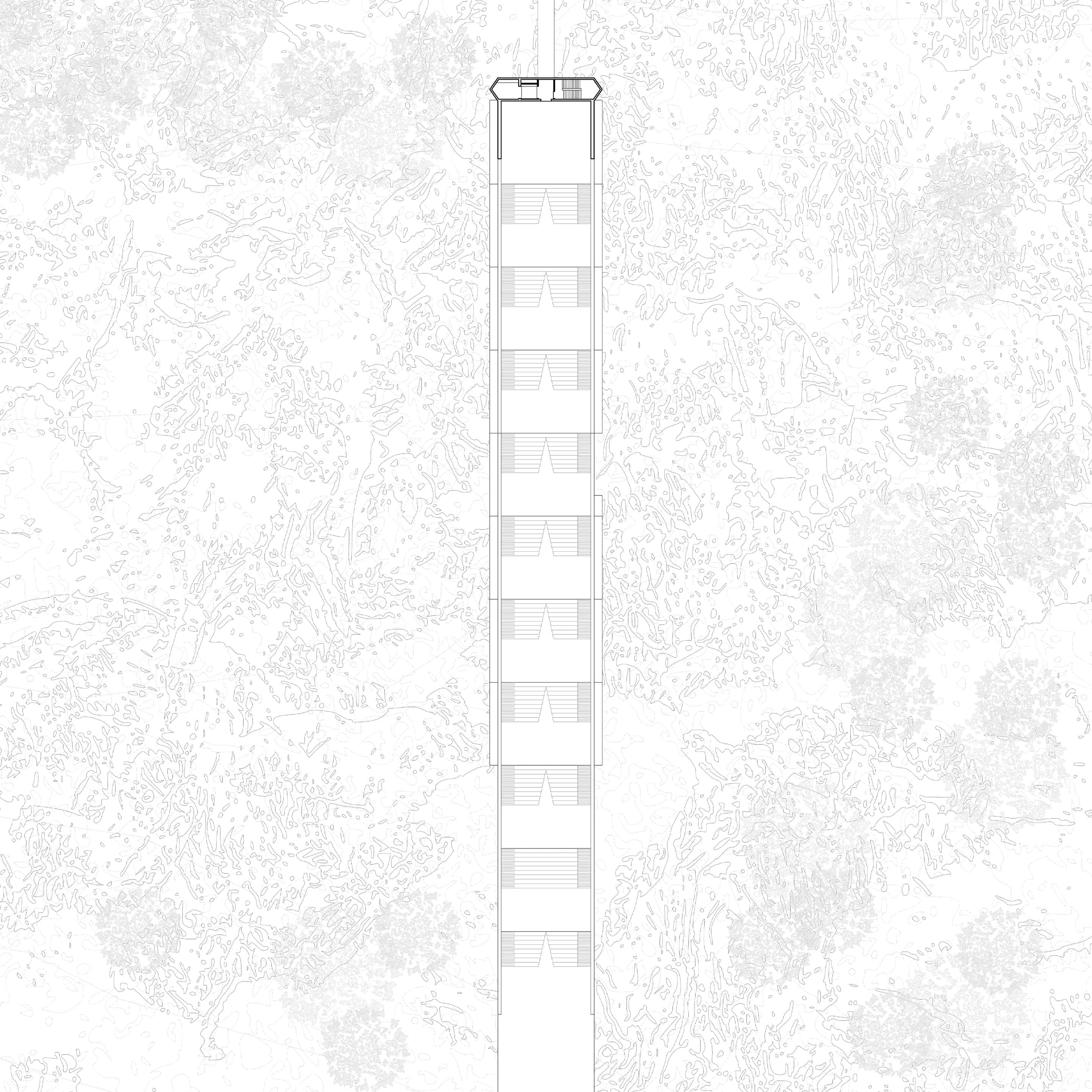 Diploma — Accademia di architettura